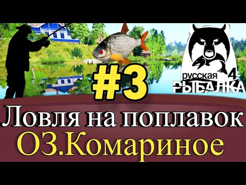 Видео: Хороший клёв-На поплавок-Комариное-Русская рыбалка 4