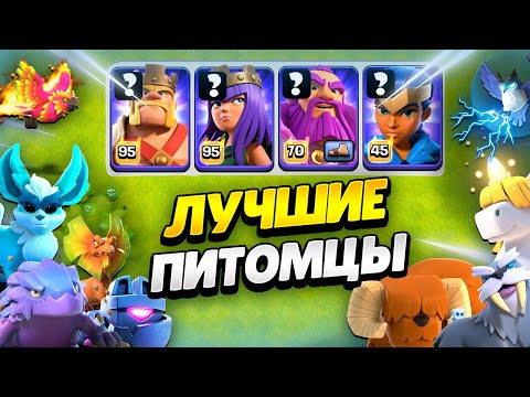 Видео: 🐾 ЛУЧШИЕ ПИТОМЦЫ ДЛЯ КАЖДОГО ГЕРОЯ В КЛЕШ ОФ КЛЕНС | КЛЕО CLASH OF CLANS