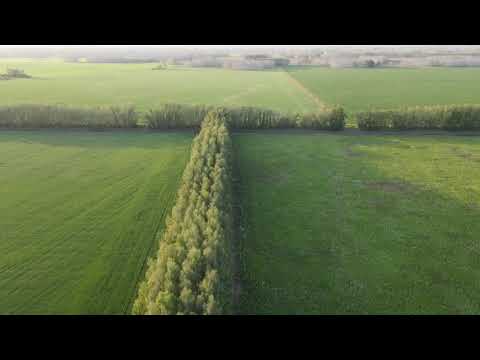 Видео: Copter #19. DJI Mavic Air2. Омская область. Ракитинка и ее окрестности.