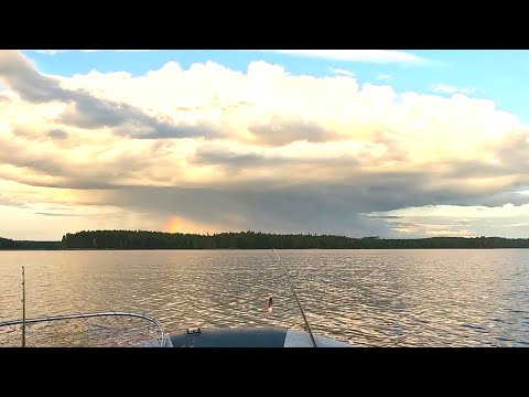 Видео: Рыбалка в Карелии. Прогулки по озёрам с элементами рыбалки.