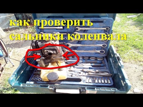 Видео: как проверить сальники коленвала на бензокосе