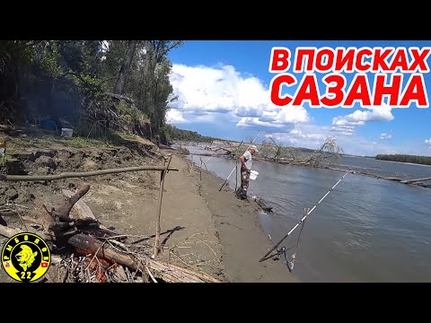 Видео: В поисках сазана в лютом коряжнике . Обская рыбалка на донки.
