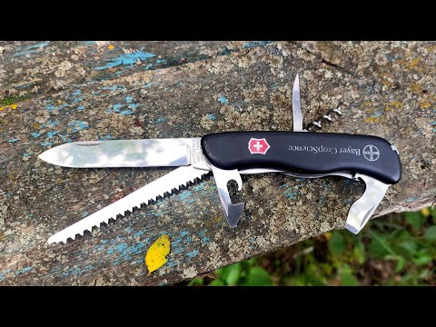 Видео: Victorinox Forester - один в лесу