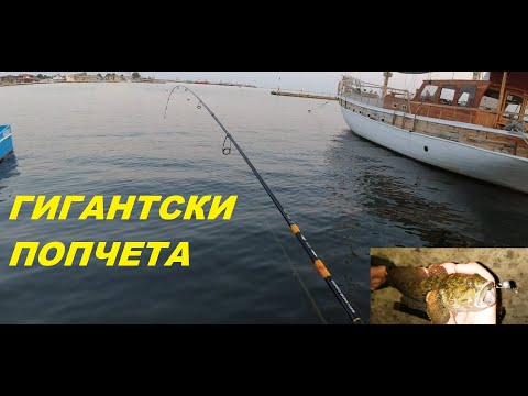 Видео: МОРСКИ РИБОЛОВ - ЕДРИ ПОПОВЕ НА СПИНИНГ!