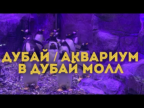 Видео: ДУБАЙ 2020 / Аквариум в Дубай Молл / Пингвины в аквариуме