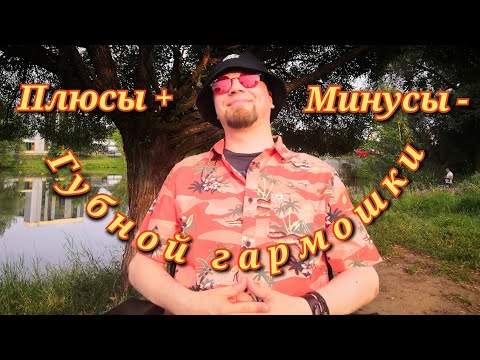 Видео: Плюсы-минусы губной гармошки.