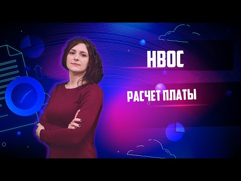Видео: Как заполнить декларацию платы за НВОС в личном кабинете природопользователя