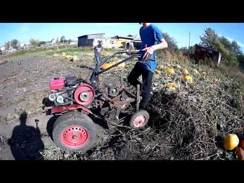 Видео: Самодельная картофелекопалка для мотоблока "ОКА".Испытываем.