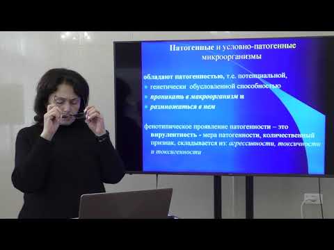 Видео: Санитарно-противоэпидемические решения в лечебно-профилактических учреждениях