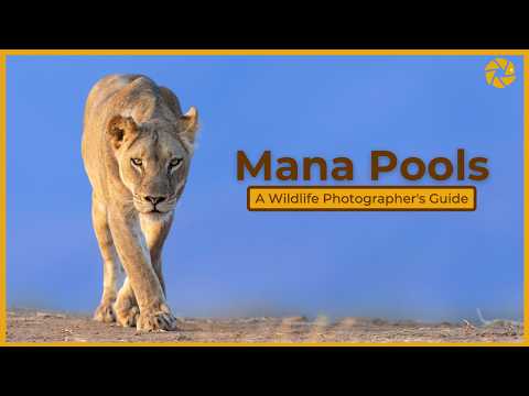 Видео: Mana Pools — руководство для фотографов дикой природы.