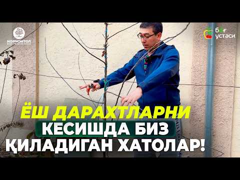 Видео: БУНИ КЎРМАСДАН ОЛМА ВА ГИЛОСНИ КЕСИШГА ШОШИЛМАНГ! | ШУҲРАТ АБРОРОВ #shuhratabrorov #shaklberish