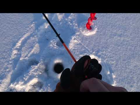 Видео: Монтаж на Судака и Берша.