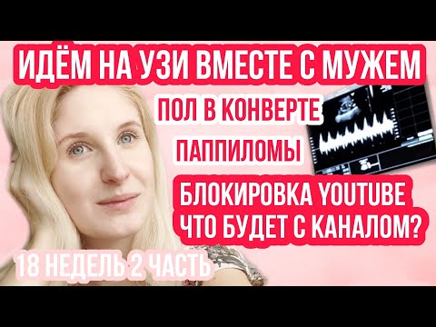 Видео: УЗИ ВО ВТОРОМ ТРИМЕСТРЕ ◈ ВПЧ ◈ ПОЛ ◈ 18 неделя беременности 2 Часть ◈ Влоги беременной Сашки