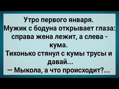 Видео: Как Мыкола На Куму Залез! Сборник Свежих Анекдотов! Юмор!.