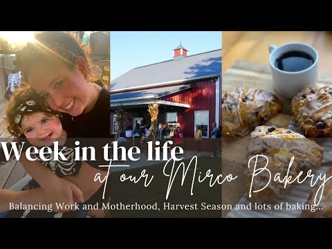 Видео: Сезон сбора урожая в нашей мини-пекарне — неделя из жизни нашей пекарни Mirco