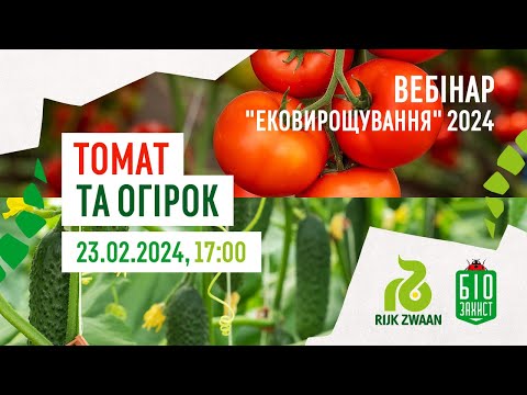 Видео: Томат та огірок | ЕкоВирощування2024 | Webinar 2