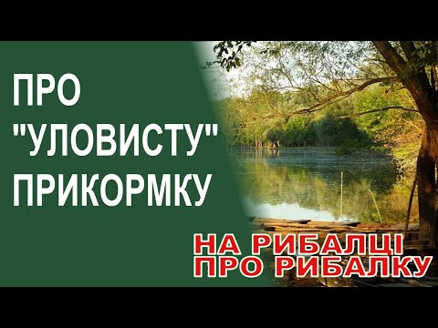 Видео: З чого приготувати уловисту прикормку | Секрети та прийоми прикормлювання риби