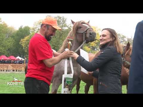 Видео: Конете на България: Тропотът на копита от Сливен до писта „Бържен“