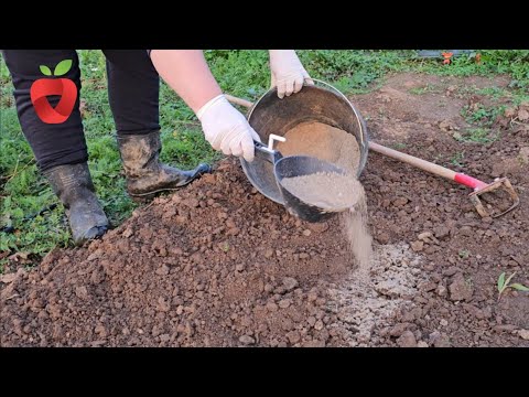 Видео: Не выбрасывайте пепел, используйте его в саду и решите эти проблемы навсегда.