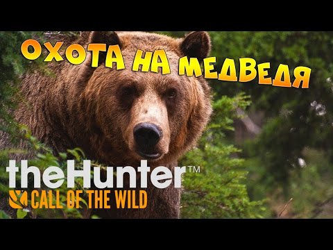 Видео: theHunter Call of the Wild #6 - Охота на медведя | Опасная охота