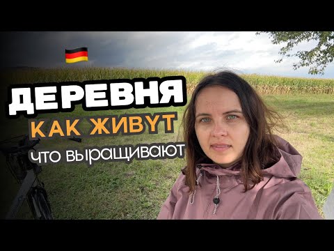 Видео: Как живут в деревнях в Германии / Что выращивают на полях / Работа в поле