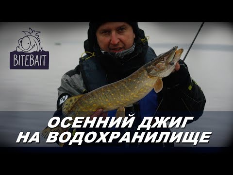 Видео: Осенний джиг на водохранилище. Ловля щуки осенью. Рыбалка на джиг