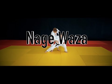 Видео: Nage Waza / Приемы в борьбе в стойке
