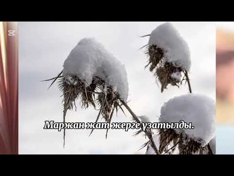 Видео: Буктрейлер. Ілияс Жансүгіров "Күң өлімі" әңгімесі. Хурсанова Шахзода. Жетекшісі :Усманова Дилшода.