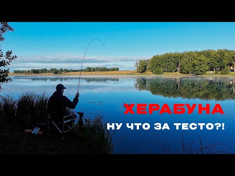 Видео: ОНИ клюют на суровое ЧЕЛЯБИНСКОЕ тесто. Привет подписчикам!)