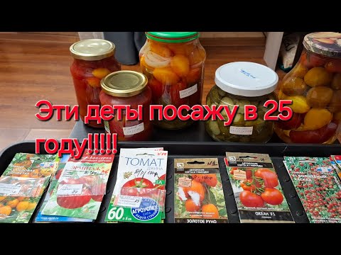 Видео: Детерминантные томаты на 25 год!!!!!