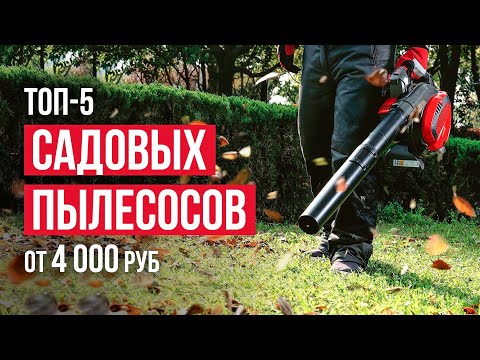 Видео: ТОП-5 Садовых пылесосов от 4000 рублей. Какую воздуходувку выбрать?