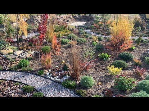 Видео: Думала об одном, а сделала другое