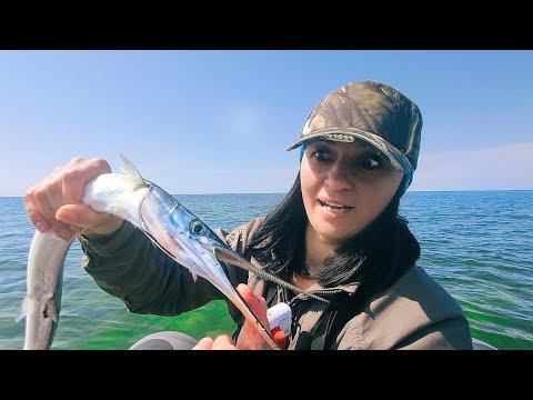 Видео: ТАКИХ ЗМЕЙ Я ЕЩЕ НЕ ЛОВИЛА!!! Рыбалка в Балтийском море.