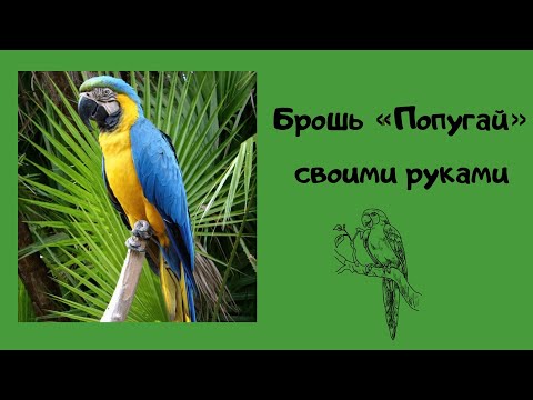 Видео: Брошь «Попугай» | работа с перьями