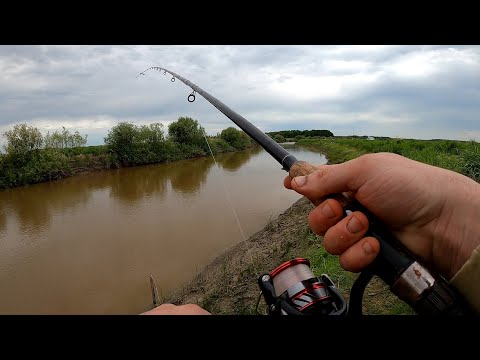 Видео: НеСартлан 2022. Первый рекорд сезона