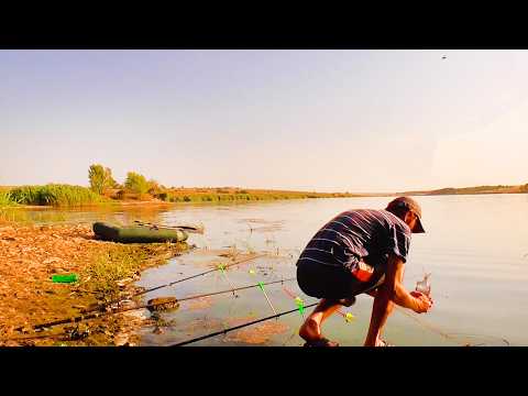 Видео: СЛАБОНЕРВНЫМ НЕ СМОТРЕТЬ! НОЧНАЯ РЫБАЛКА НА ЛЕЩА. ПОКЛЁВКА ЗА ПОКЛЁВКОЙ. БЕШЕНЫЙ КЛЕВ. Рыбалка 2024