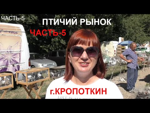 Видео: 30.08.20.Птичий Рынок г.Кропоткин ч5.08/30/2020. Bird Market, Kropotkin, part 5.