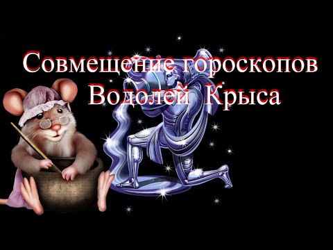 Видео: Совмещение гороскопов.  Крыса водолей