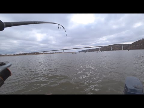 Видео: Вот это РЫБАЛКА на Дону! Рыбалка в Калаче 2021! Судак на джиг! отличное открытие СЕЗОНА!