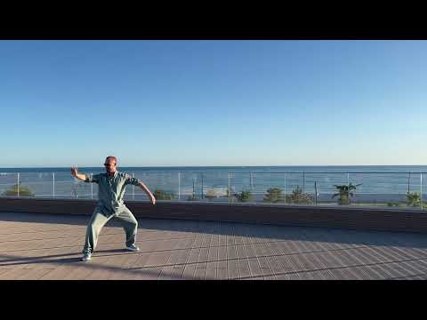 Видео: 24 формы ченьши синьи хуньюань тайцзи, Антонов Антон, 21.06.2024