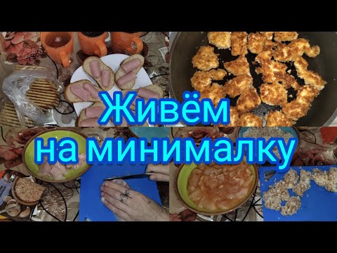 Видео: Живём на минималку . 100 рублей в день .