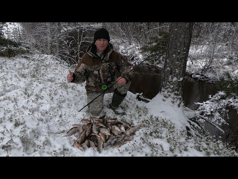 Видео: ОТОРВАЛСЯ НА ПОПЛАВОК ХОТЯ УЖЕ ОТКРЫЛ ПЕРВЫЙ ЛЁД! ЗИМНЯЯ РЫБАЛКА ПРЁТ, А ТУТ РЕЧКА ЖИДКАЯ В ЛЕСУ)))!