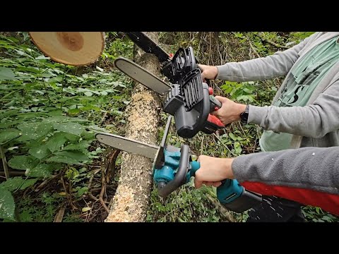 Видео: битва акумуляторних ланцюгових пил 🤜🤛