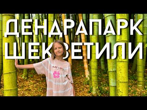 Видео: ДЕНДРАПАРК ШЕКВЕТИЛИ: розовые фламинго и «деревья-гиганты».