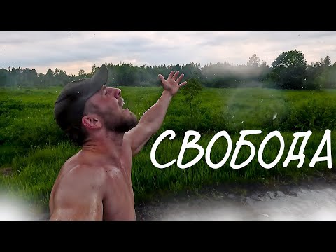 Видео: РАЗРЕШИ СЕБЕ ЖИТЬ ПО НАСТОЯЩЕМУ┃MS 31