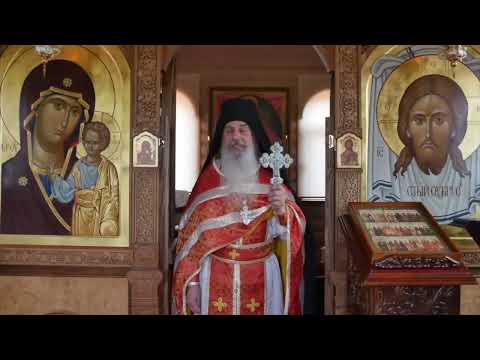 Видео: ПОЧЕМУ БЫЛИ ЗВЕРСКИ УБNТЫ СВЯТЫЕ ЦАРСТВЕННЫЕ СТРАСТОТЕРПЦЫ?! - схиигумен Гавриил (Виноградов)