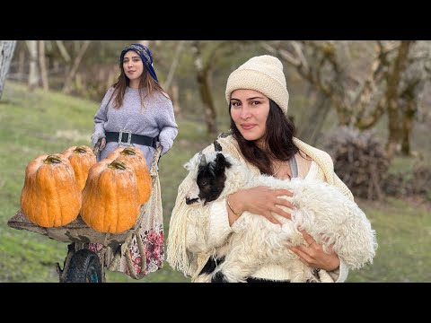 Видео: Готовим с тыквой! Готовим тыквенный рис и копченую рыбу в деревне