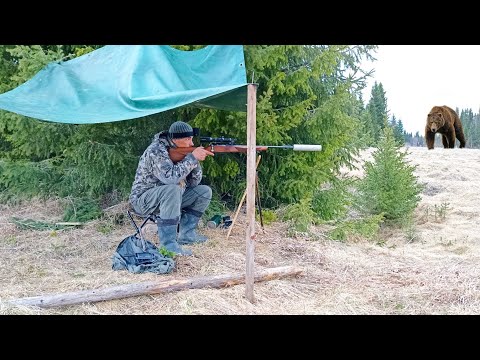 Видео: ОХОТА НА МЕДМЕДЯ / НА ПЯТЫЙ ДЕНЬ ПРИШЁЛ КОСОЛАПЫЙ К ПРИВАДЕ. СХВАТИЛ МЕШОК СО ШКУРКОЙ И В ЛЕС БЕЖАТЬ