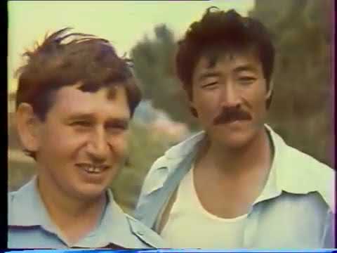 Видео: Биздин Сын   Таш