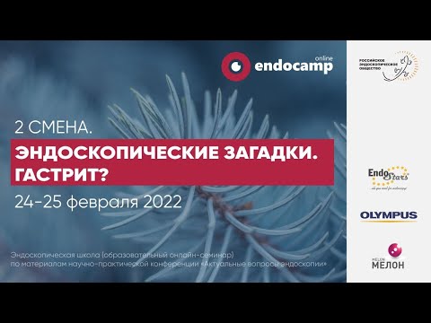 Видео: Эндоскопические загадки. Гастриты?